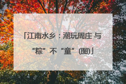 江南水乡：潮玩周庄 与“粽”不“童”(图)