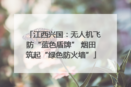 江西兴国：无人机飞防“蓝色盾牌” 烟田筑起“绿色防火墙”
