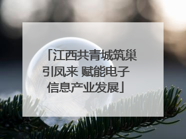 江西共青城筑巢引凤来 赋能电子信息产业发展