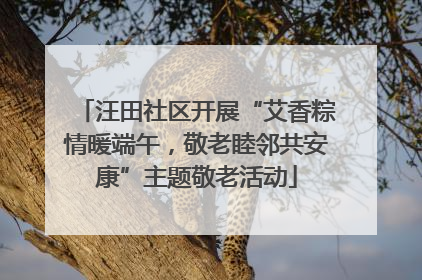 汪田社区开展“艾香粽情暖端午，敬老睦邻共安康”主题敬老活动