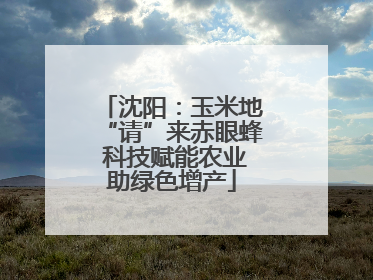 沈阳：玉米地“请”来赤眼蜂 科技赋能农业助绿色增产