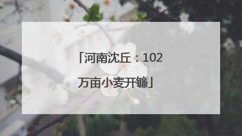 河南沈丘：102 万亩小麦开镰