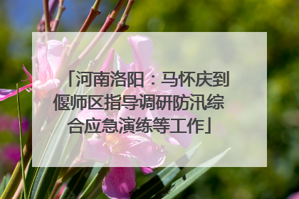 河南洛阳：马怀庆到偃师区指导调研防汛综合应急演练等工作