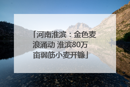 河南淮滨：金色麦浪涌动 淮滨80万亩弱筋小麦开镰