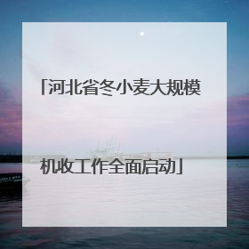 河北省冬小麦大规模机收工作全面启动