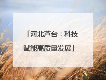 河北芦台：科技赋能高质量发展