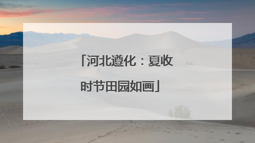 河北遵化：夏收时节田园如画