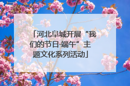 河北阜城开展“我们的节日·端午”主题文化系列活动