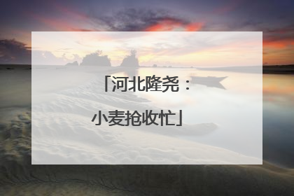 河北隆尧：小麦抢收忙
