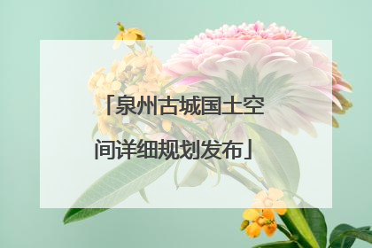 泉州古城国土空间详细规划发布