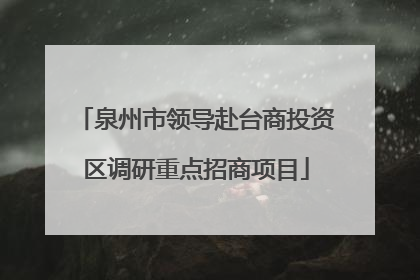 泉州市领导赴台商投资区调研重点招商项目