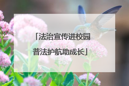 法治宣传进校园 普法护航助成长