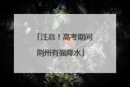 注意！高考期间荆州有强降水
