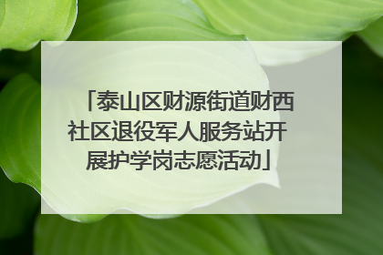 泰山区财源街道财西社区退役军人服务站开展护学岗志愿活动