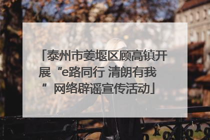 泰州市姜堰区顾高镇开展“e路同行 清朗有我”网络辟谣宣传活动