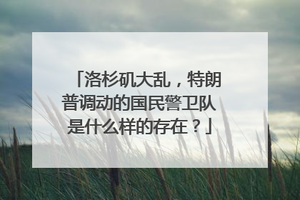 洛杉矶大乱，特朗普调动的国民警卫队是什么样的存在？