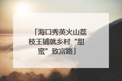 海口秀英火山荔枝王铺就乡村“甜蜜”致富路