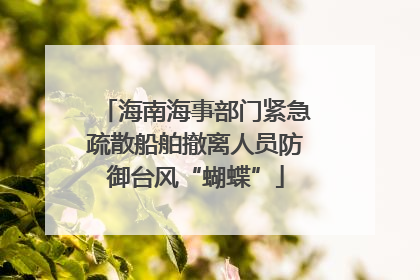 海南海事部门紧急疏散船舶撤离人员防御台风“蝴蝶”