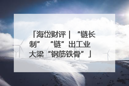 海岱财评｜“链长制” “链”出工业大梁“钢筋铁骨”