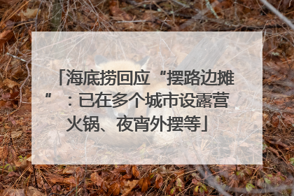 海底捞回应“摆路边摊”：已在多个城市设露营火锅、夜宵外摆等
