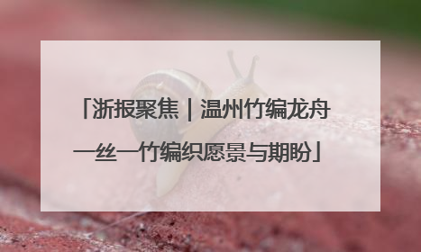 浙报聚焦｜温州竹编龙舟 一丝一竹编织愿景与期盼