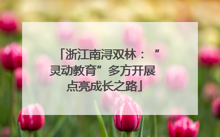 浙江南浔双林：“灵动教育”多方开展 点亮成长之路
