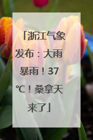 浙江气象发布：大雨暴雨！37℃！桑拿天来了