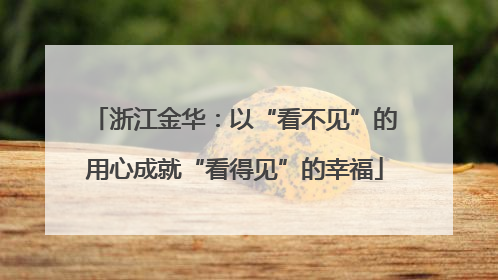 浙江金华：以“看不见”的用心成就“看得见”的幸福