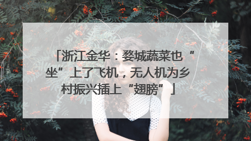 浙江金华：婺城蔬菜也“坐”上了飞机，无人机为乡村振兴插上“翅膀”