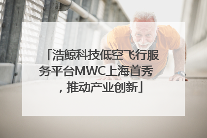浩鲸科技低空飞行服务平台MWC上海首秀，推动产业创新