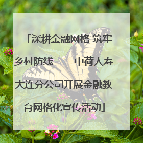 深耕金融网格 筑牢乡村防线——中荷人寿大连分公司开展金融教育网格化宣传活动