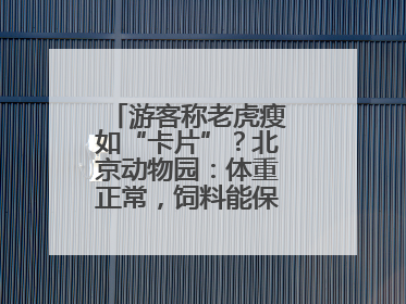 游客称老虎瘦如“卡片”？北京动物园：体重正常，饲料能保障营养需求