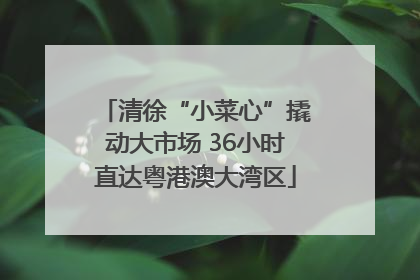 清徐“小菜心”撬动大市场 36小时直达粤港澳大湾区