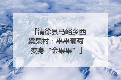 清徐县马峪乡西梁泉村：串串葡萄变身“金果果”