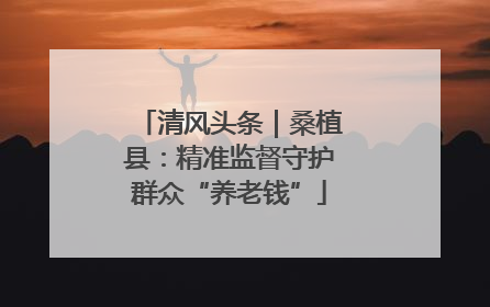 清风头条｜桑植县：精准监督守护群众“养老钱”