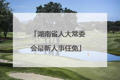 湖南省人大常委会最新人事任免