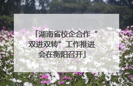 湖南省校企合作“双进双转”工作推进会在衡阳召开