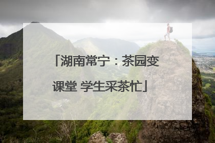 湖南常宁：茶园变课堂 学生采茶忙