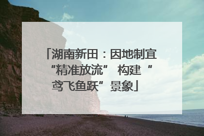 湖南新田：因地制宜“精准放流” 构建“鸢飞鱼跃”景象