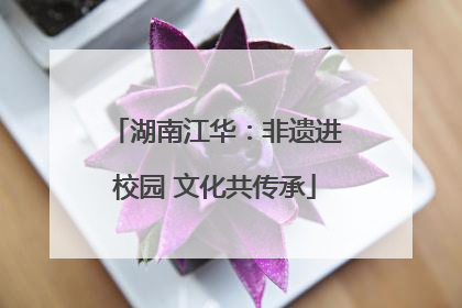 湖南江华：非遗进校园 文化共传承