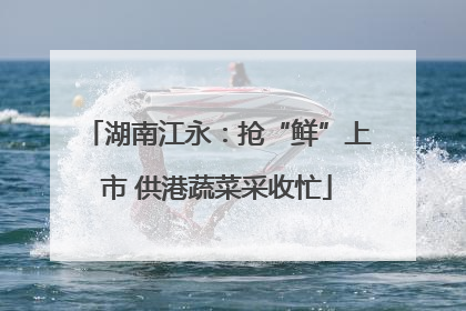 湖南江永：抢“鲜”上市 供港蔬菜采收忙