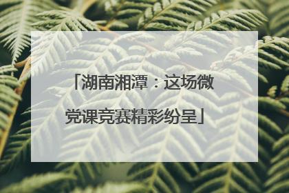 湖南湘潭：这场微党课竞赛精彩纷呈
