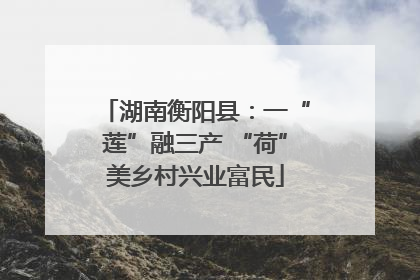 湖南衡阳县：一“莲”融三产 “荷”美乡村兴业富民