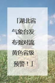 湖北省气象台发布强对流黄色省级预警！