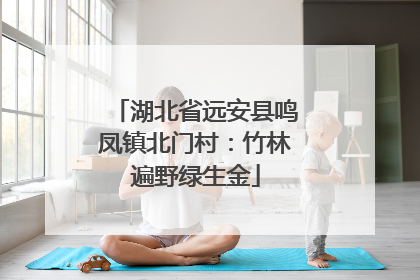 湖北省远安县鸣凤镇北门村：竹林遍野绿生金