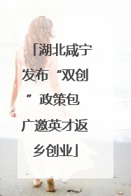 湖北咸宁发布“双创”政策包 广邀英才返乡创业