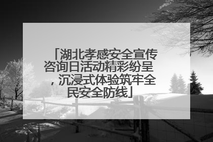 湖北孝感安全宣传咨询日活动精彩纷呈，沉浸式体验筑牢全民安全防线