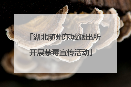 湖北随州东城派出所开展禁毒宣传活动