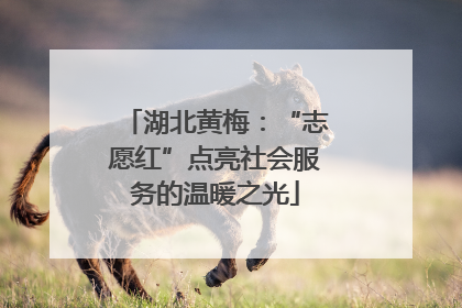 湖北黄梅：“志愿红”点亮社会服务的温暖之光