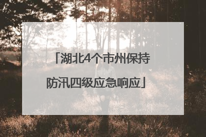 湖北4个市州保持防汛四级应急响应